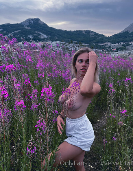 Nacktes geleaktes OnlyFans-Foto von Velvettat