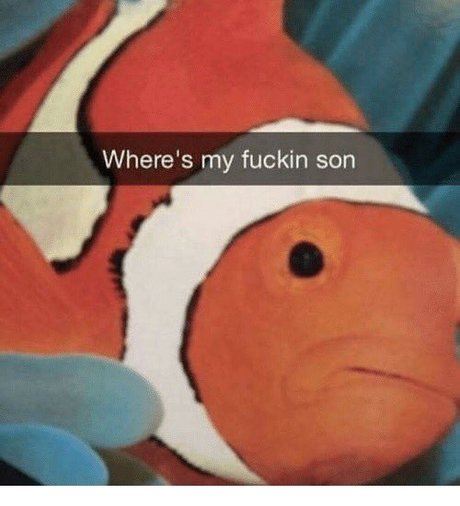 Wheres Nemo