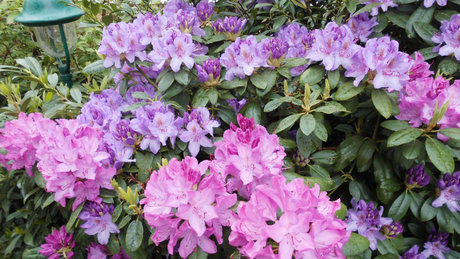 Nacktes geleaktes OnlyFans-Foto von Patrickschroeter