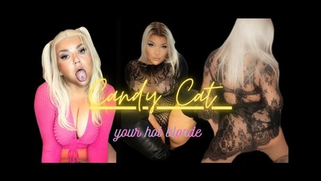 Candy Cat All Inclusive 