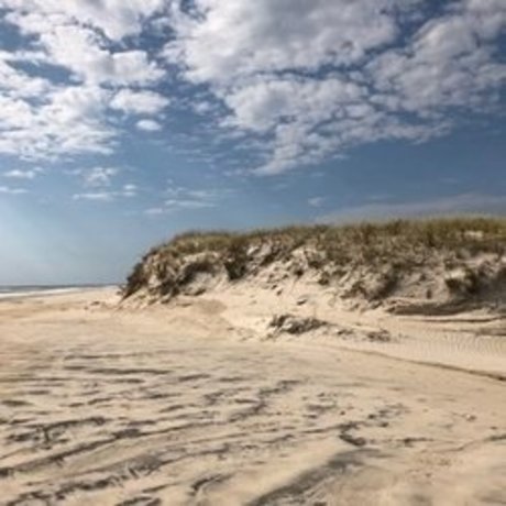 Nacktes geleaktes OnlyFans-Foto von Beach Bum 102019