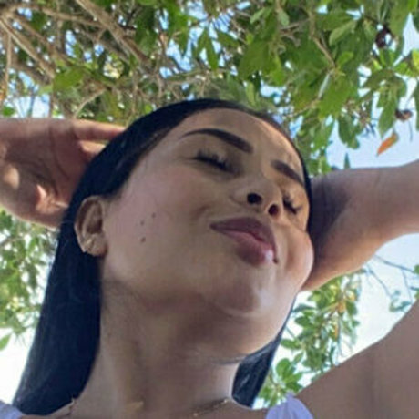 Dimepaulinita