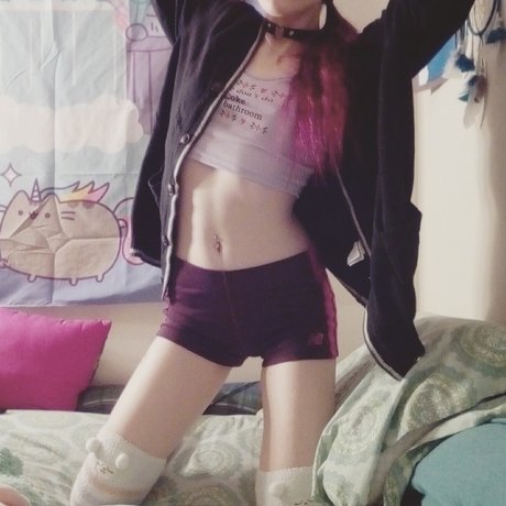 Kittys Vippagerevamp Coming Soon