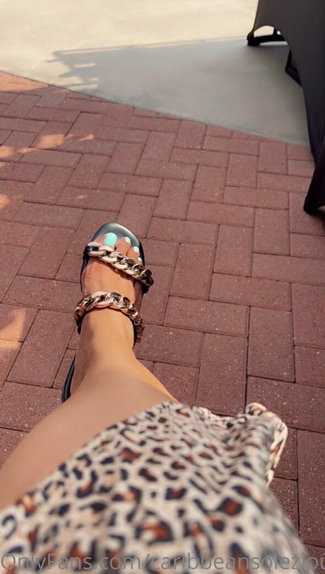 Caribbeansolezlounge