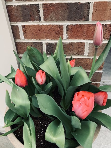 Nacktes geleaktes OnlyFans-Foto von Douglas E Zima