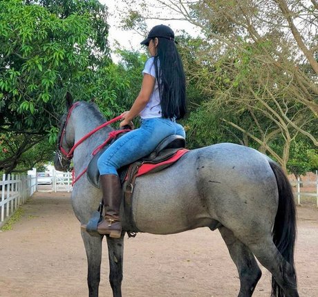 Lismara Moreira