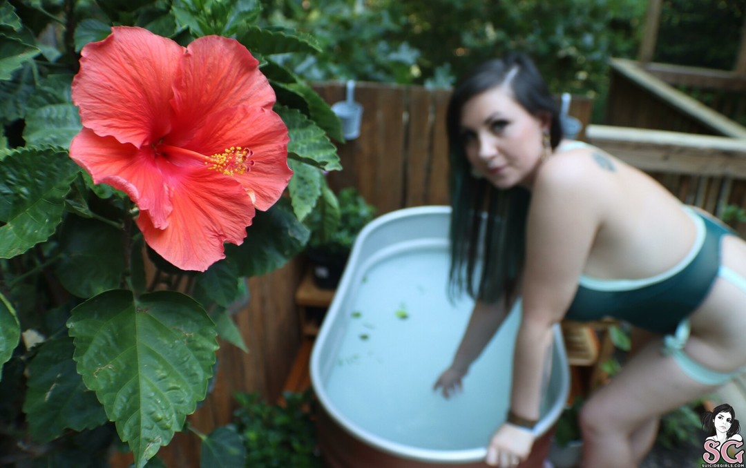Nacktes geleaktes OnlyFans-Foto von Mimiflowers Mimiflowersss #1 Nacktes geleaktes OnlyFans-Foto von Mimiflowers Mimiflowersss #1