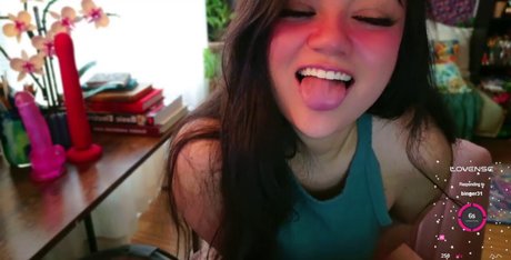 Annatigarr