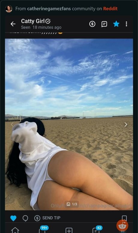 Catherine Gamez