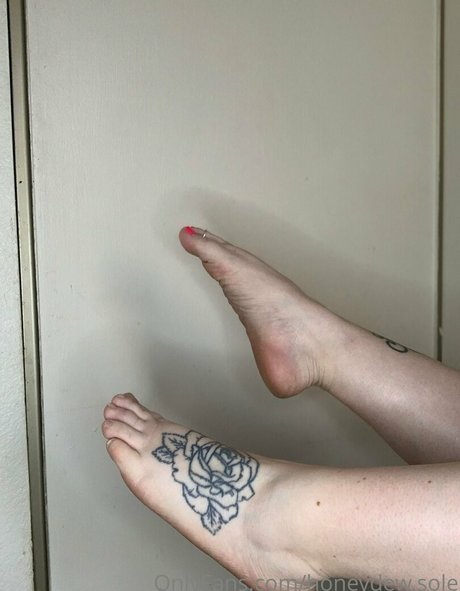 Honeydewsole