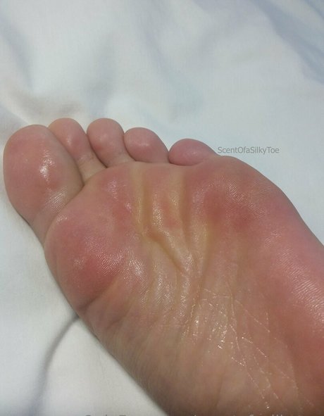 Scentofasilkytoe