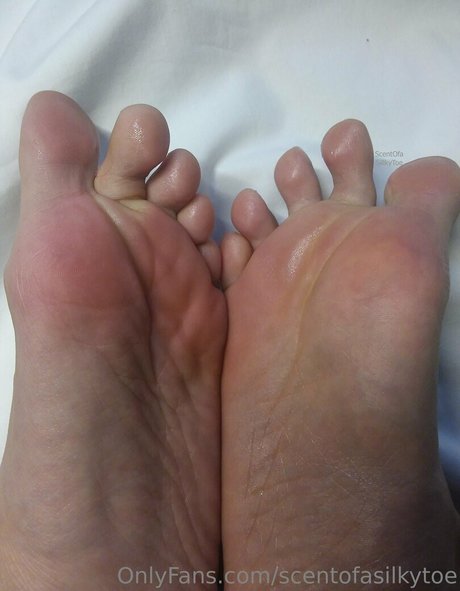 Scentofasilkytoe