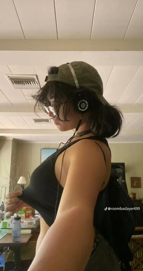 Roombaslayer69