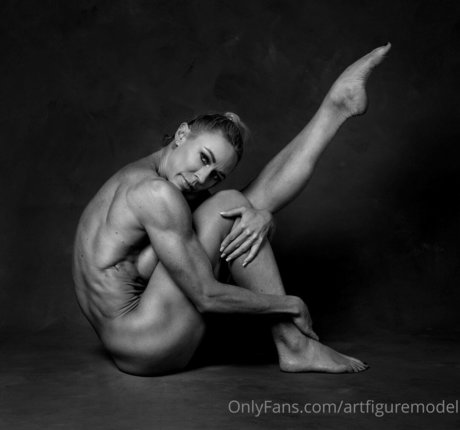 Artfiguremodel