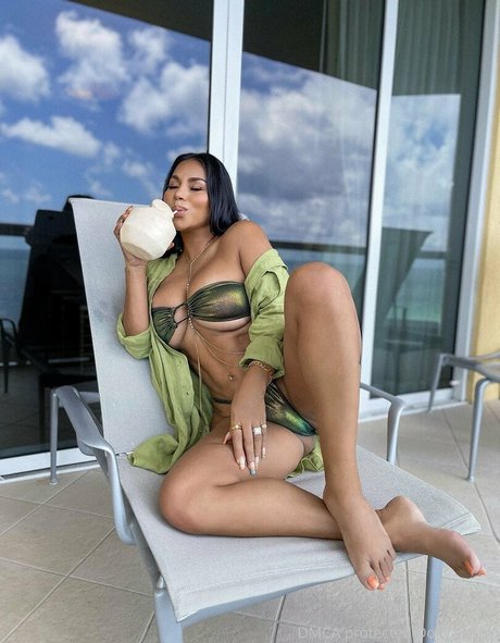 Dollycastro