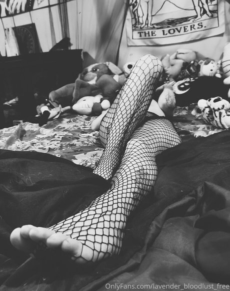 Lavender_bloodlust_free