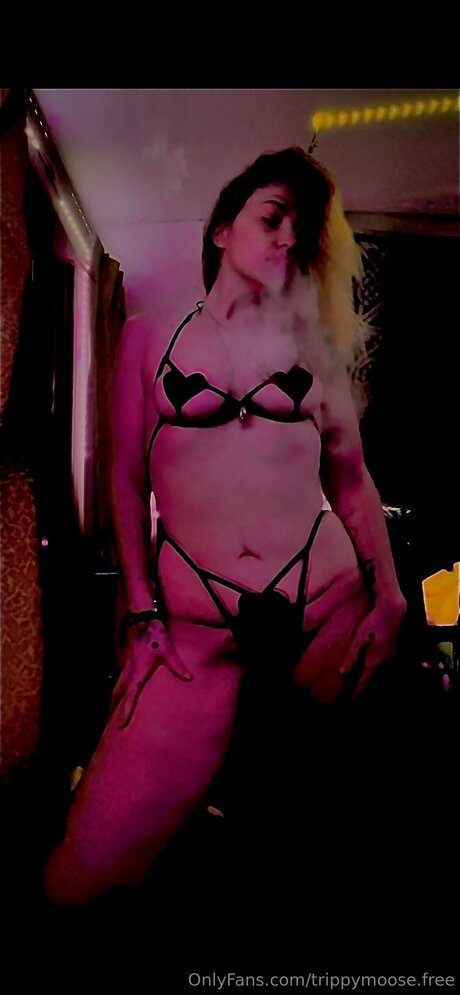 Trippymoose Free