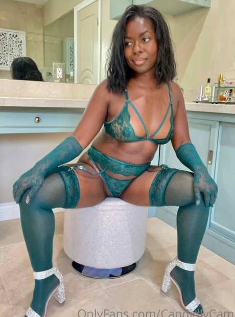 Nacktes geleaktes OnlyFans-Foto von Camille Winbush