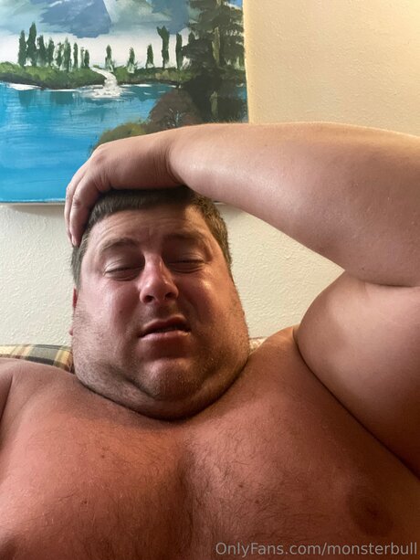 Thebulkinghog