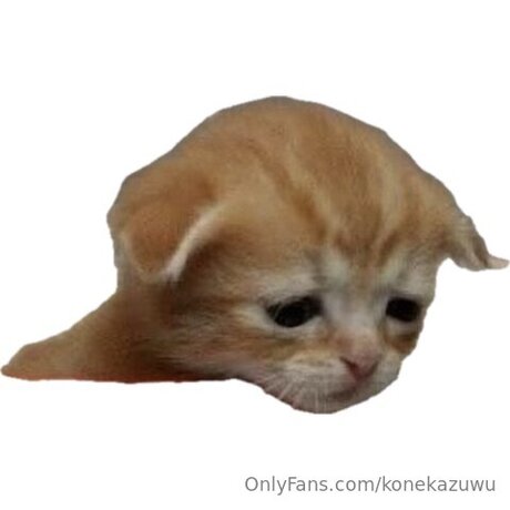 Konekazuwu