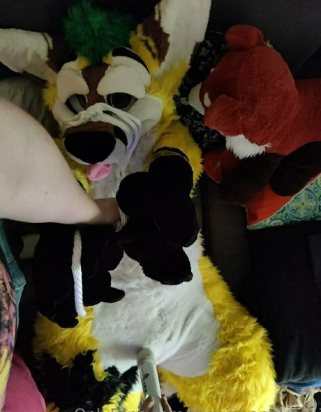 Nacktes geleaktes OnlyFans-Foto von Thepineapplefox