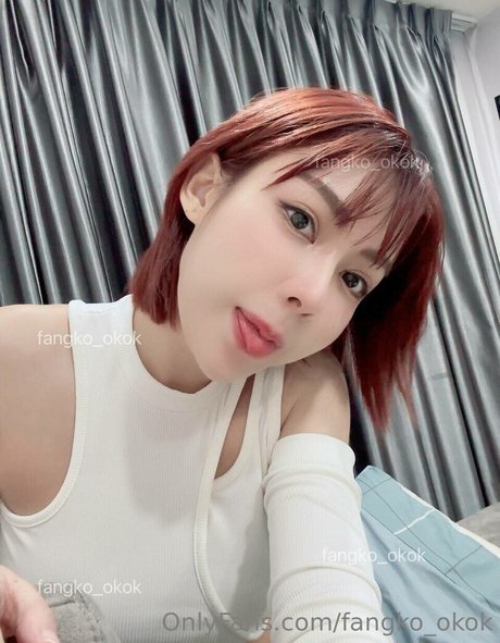 Fangko_ok