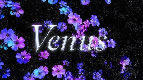 Venus Fantasy 