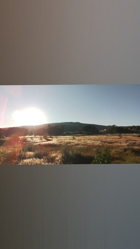 Nacktes geleaktes OnlyFans-Foto von Jos Buenrostro