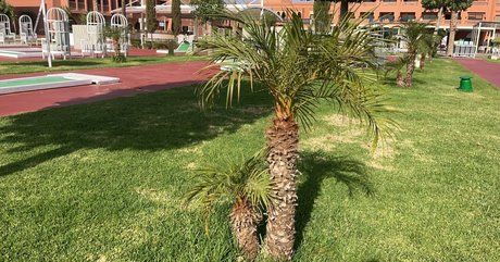 Nacktes geleaktes OnlyFans-Foto von Cocolls