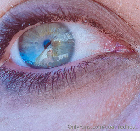 Goat.redhead