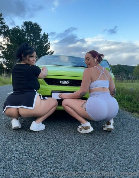 Shellzangel