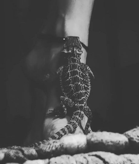 Nacktes geleaktes OnlyFans-Foto von Artnvenom