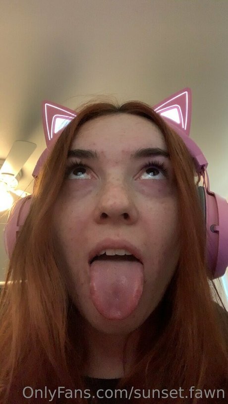 Sunset.fawn