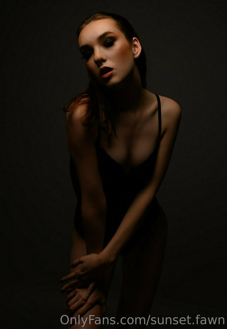 Sunset.fawn