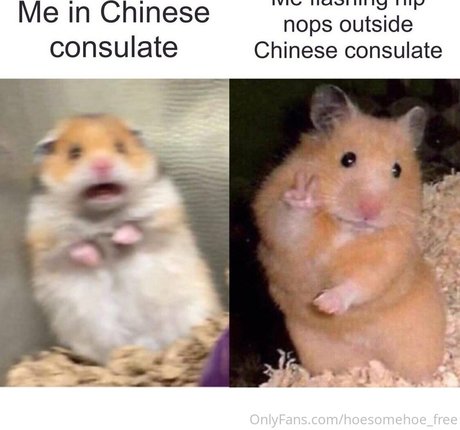 Melissa_cho_chang_free