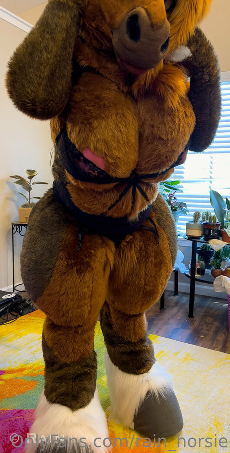 Rain_horsie