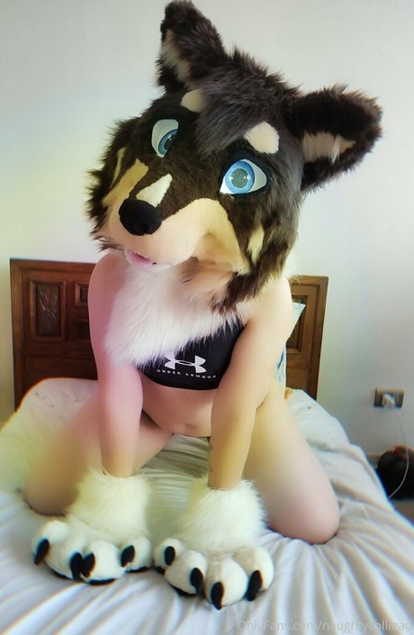 Nacktes geleaktes OnlyFans-Foto von Naughtycolliead