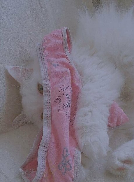 Nacktes geleaktes OnlyFans-Foto von Cutekatrin