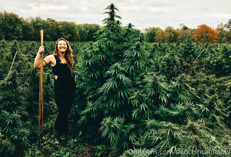 Danceincannabis