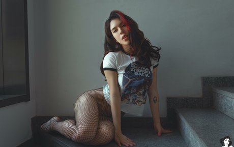 Bambisparadise