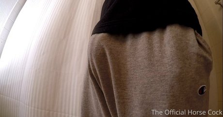 Horse_cock