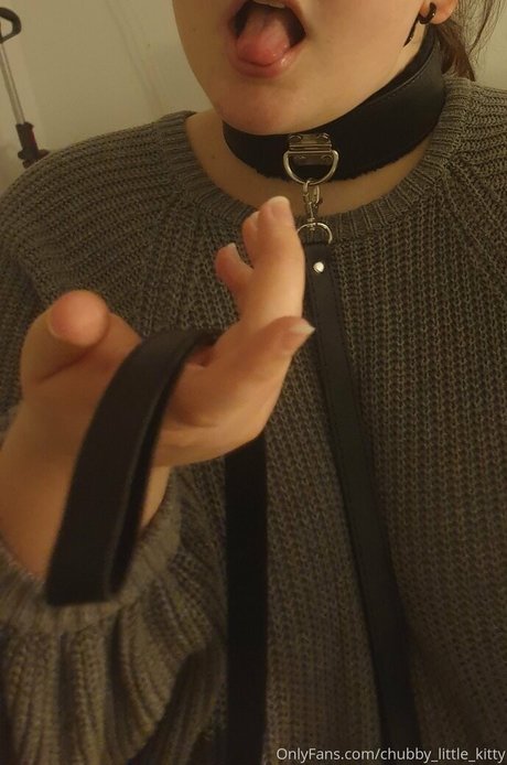 Chubby_little_kitty