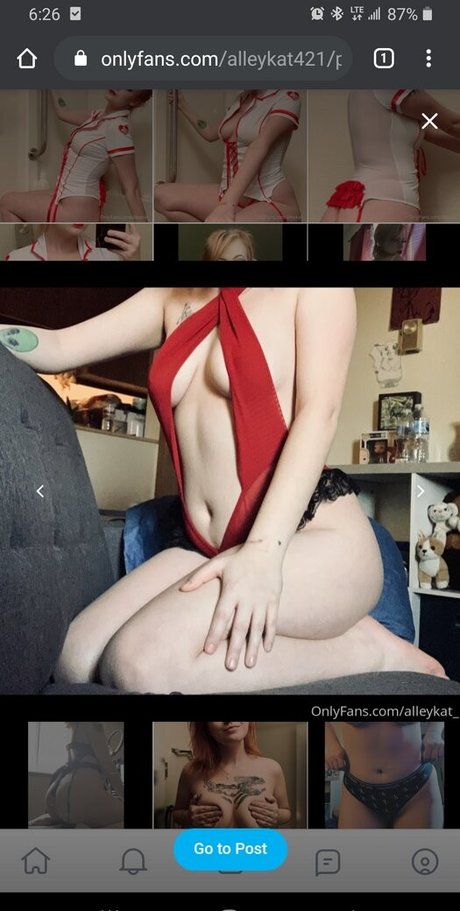 Alleykat421