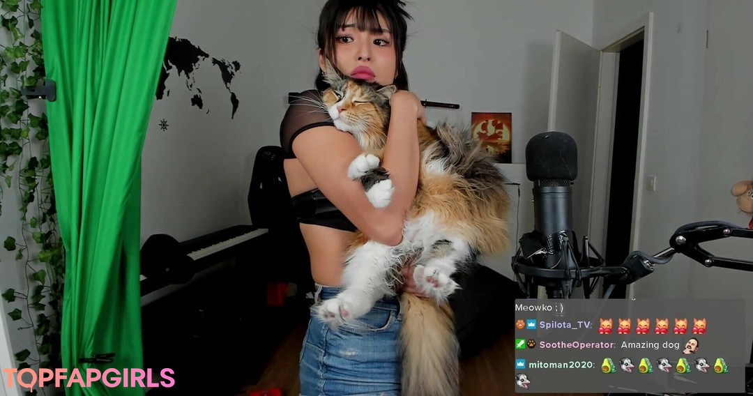 Nacktes geleaktes OnlyFans-Foto von Meowko #1448