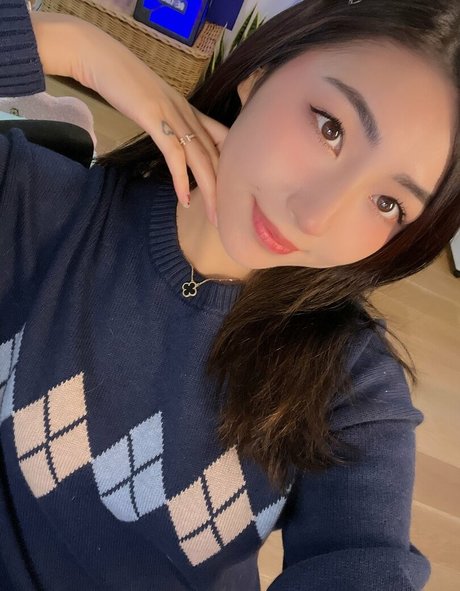 Xchocobars