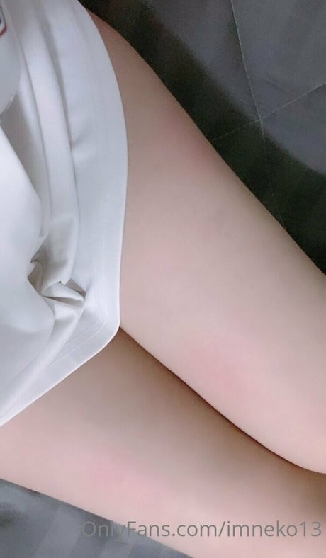 Imneko13