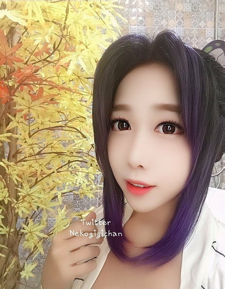 Nekogigichan
