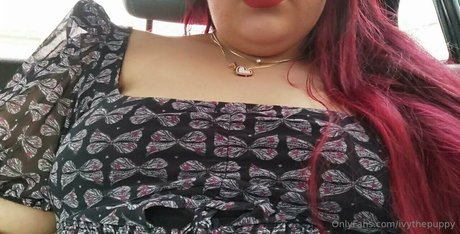 Ivythepuppy