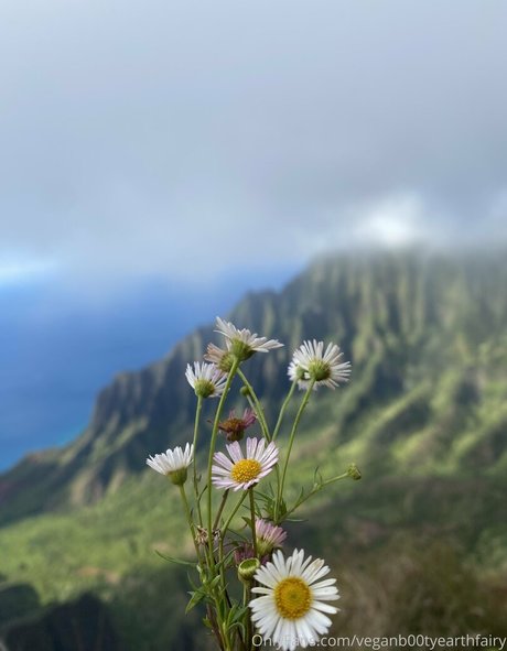 Sexyearthfairymermaid