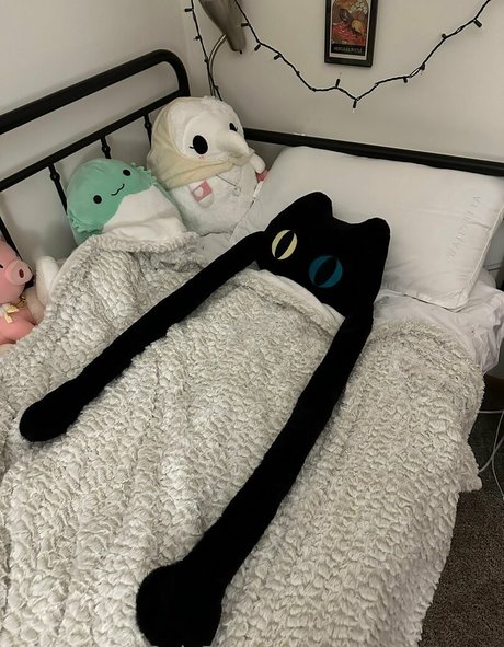 Nacktes geleaktes OnlyFans-Foto von Sleepyraccoon